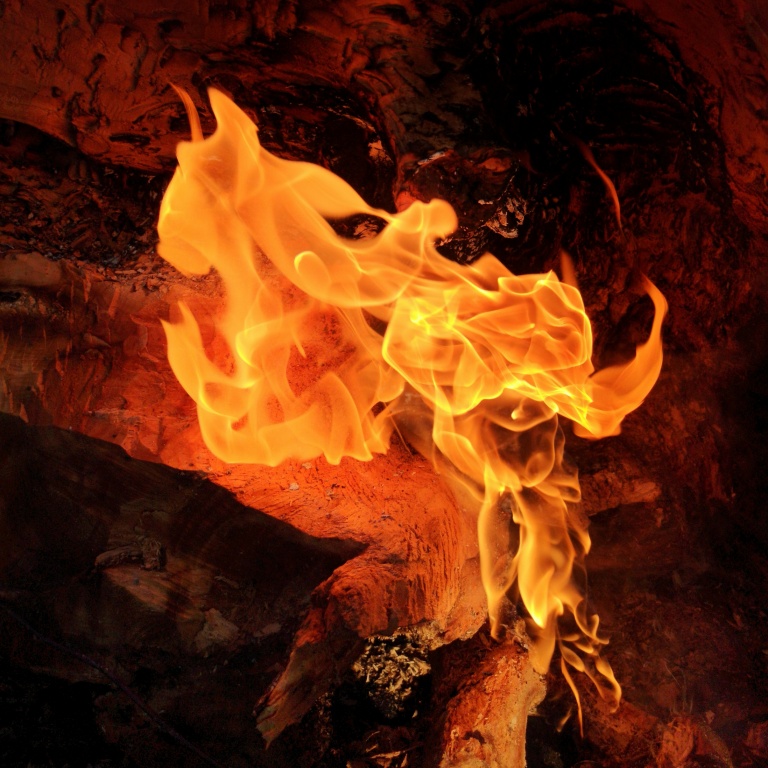Feuer-Stier