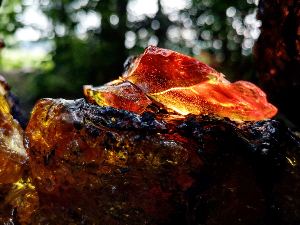 Licht-Harz 1