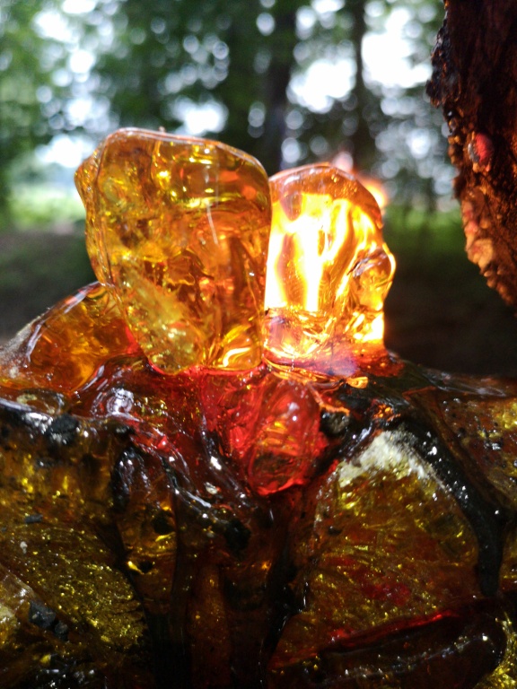 Licht-Harz 2