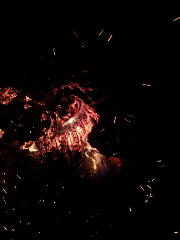 Feuervogel